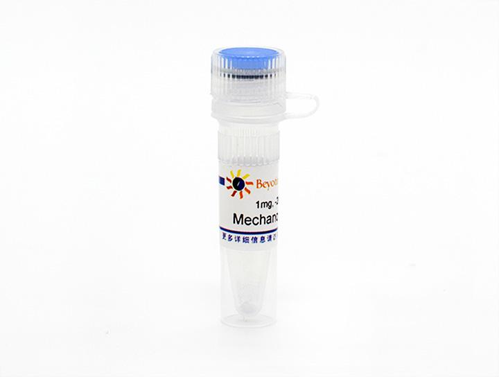 Mechano Growth Factor (机械生长因子)